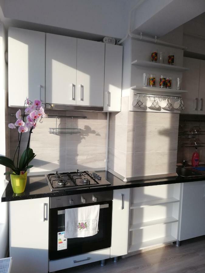 Kolonaki Domus Apartment Jassy Zewnętrze zdjęcie